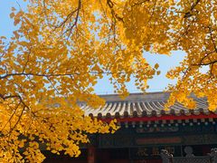 -红螺寺