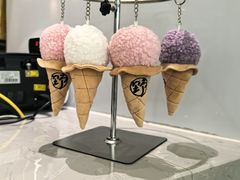 -野人先生现做冰淇淋(贵阳万象汇店)