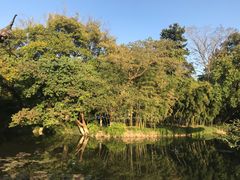 -西湖外事游船(花港观鱼码头)