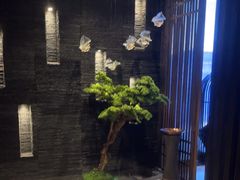 -上足·影院足道·SPA(红岭店)