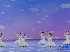 -中央芭蕾舞团·中芭艺蕾(酒仙桥明星校区)
