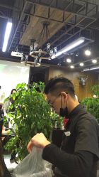 点击看大图 -木北造型