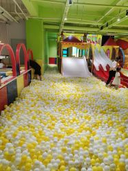 -宝燕乐园(闵行旗舰店)