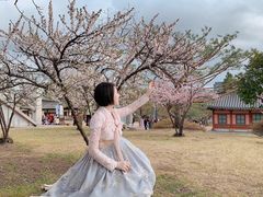 -景福宫