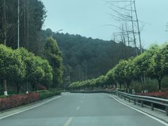 -铁山坪森林公园