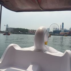 -星海水上乐园(星海广场圣亚店)