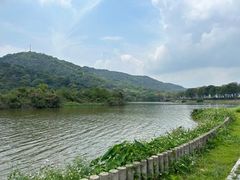 -风云岭森林公园