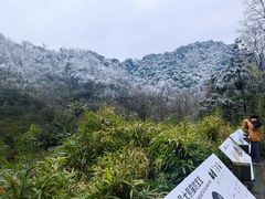 -都江堰景区
