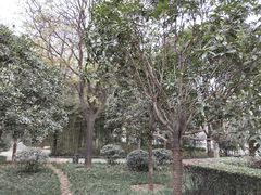 -唐城墙遗址公园