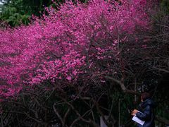 -白塘生态植物园