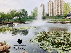 -前关湿地公园