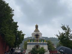 -塔尔寺