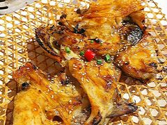 -京城·森鸽排档(双井店)