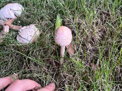 -四川大学(华西校区)