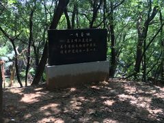 -马王堆汉墓遗址