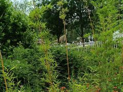 -西部长青自然儿童乐园