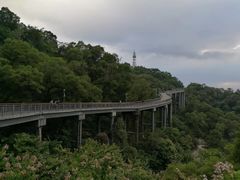 -金鸡山公园