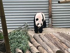 -常州淹城野生动物世界