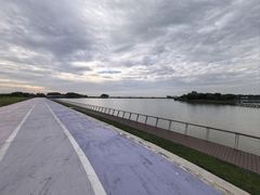 -贡湖湾湿地公园