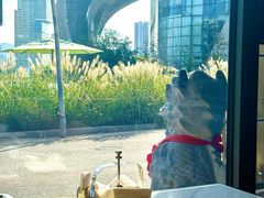 -东方早茶 海鲜•青岛菜(国信体育中心店)