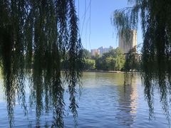 -二一九公园