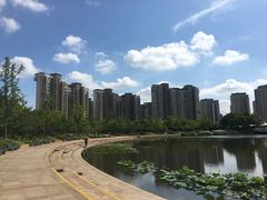 -新江湾城公园