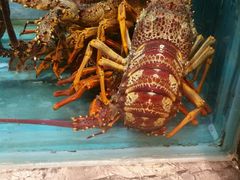 -海逸海鲜酒家(古北店)