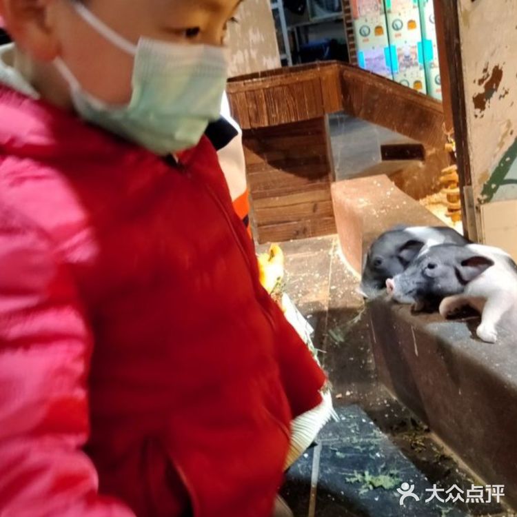 超级棒的萌宠社亲子票只要110元