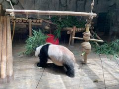 -深圳野生动物园