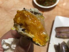 -长洲岛