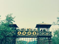 -石家庄市动物园