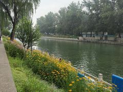 -皇家御河游(紫御湾码头)
