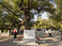-北陵公园