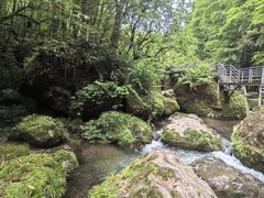 -龙苍沟森林公园