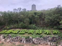 -深圳国际园林花卉博览园