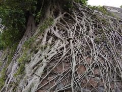 -东望洋炮台东望洋灯塔