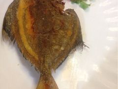 香煎乌枪鱼-郑厨私房菜