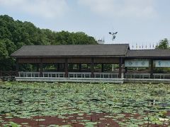 -千龙湖生态旅游度假区