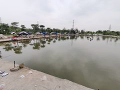 -会江钓鱼钓虾烧烤场