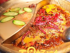 鸳鸯锅-小龙坎火锅(全球总店)