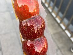 -和禄德冰糖葫芦