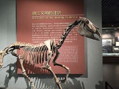 -齐齐哈尔市博物馆