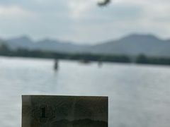 -西湖游船