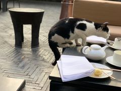-上海璞麗酒店