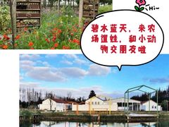 -前小桔亲子创意农场·草莓采摘·露营烧烤