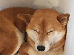 -三目仓咖啡(贤南路店)