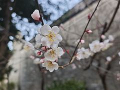 -庆安会馆