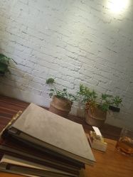 -極致刺青TATTOO STUDIO 私人订制