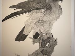 -江苏省美术馆(长江路新馆)