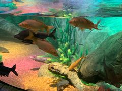 -沈阳海洋探索中心